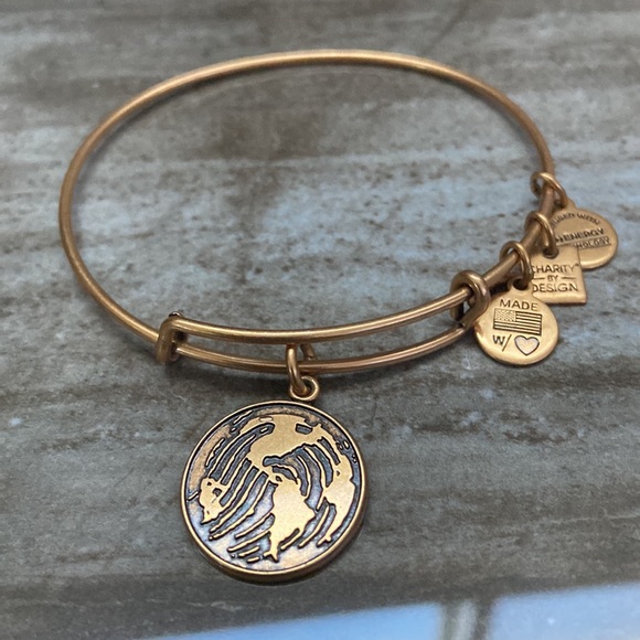 Alex And Ani World Globe Map Bangle Bracelet - Picture 2 of 8